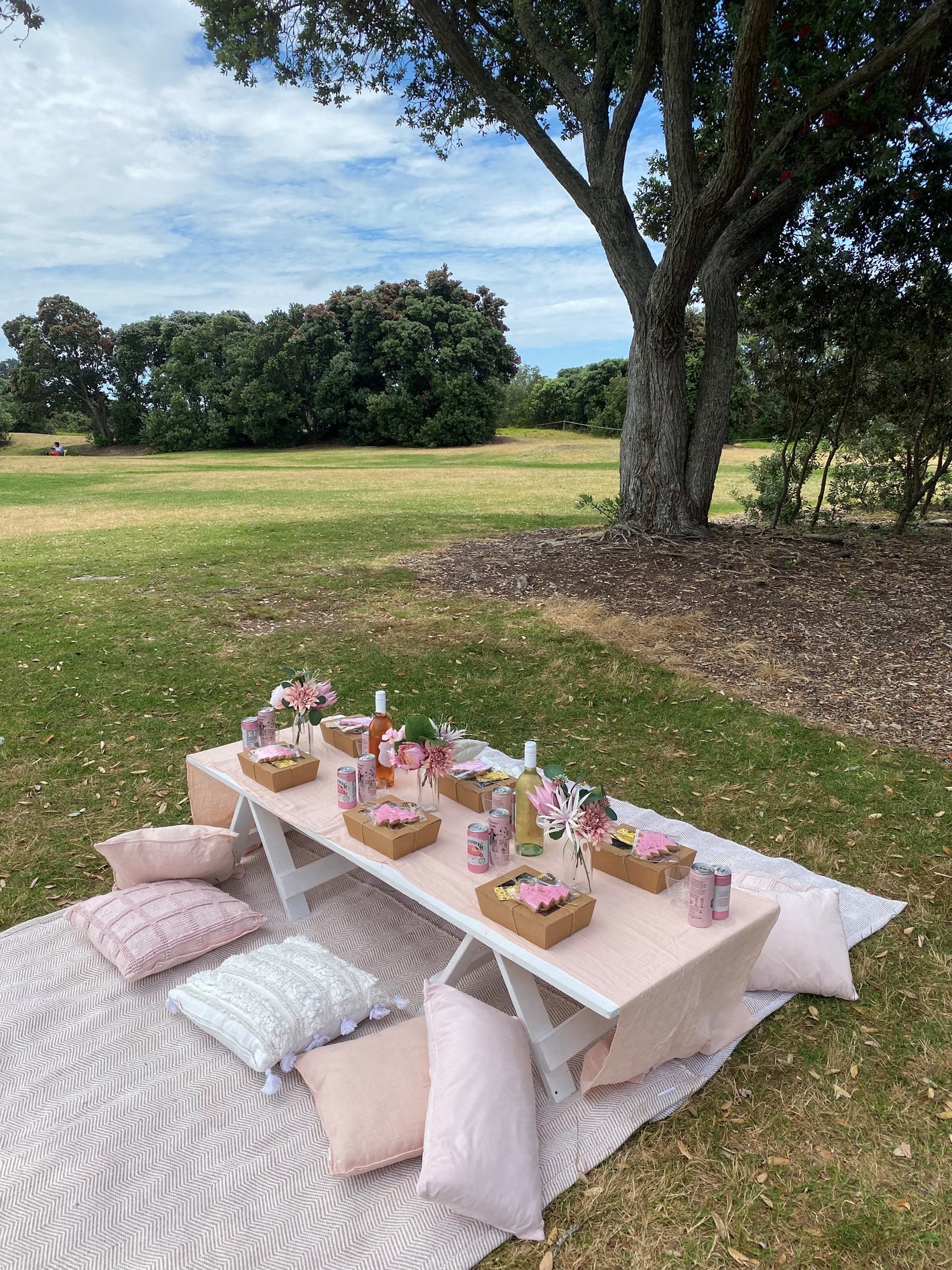 Pretty in pink low picnic table with rugs and cushions set up at local park.
