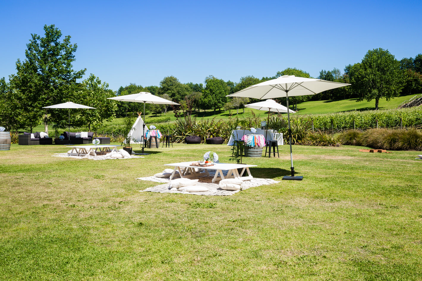 Picnic tables set up in park - rugs and cushions and umbrellas 